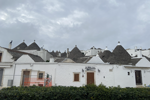 alberobella