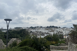 Alberobella 